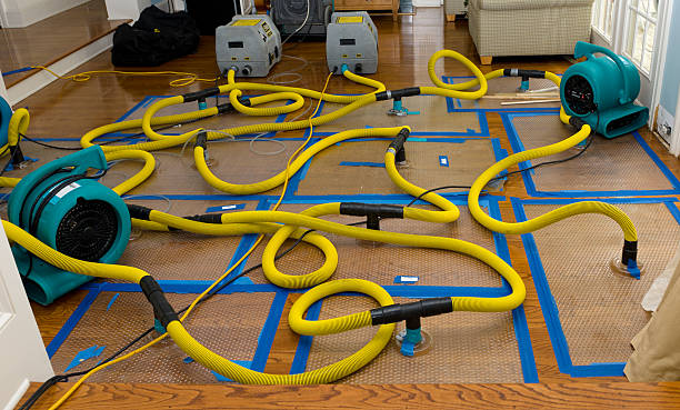 Professional Crawl Space Water Removal technician working in Lynx, OH
